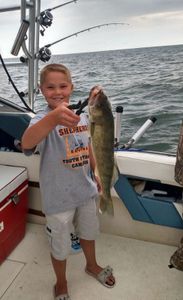 Yellow Perch in Lake Huron