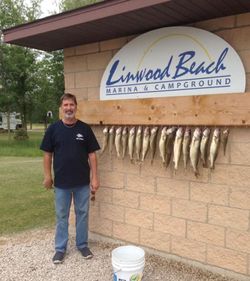 Angler fishing in Linwood