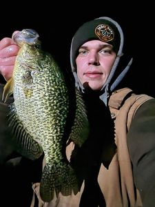 Toronto's Crappie Delights