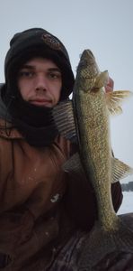 Walleye Wonders in Toronto's Lakes 