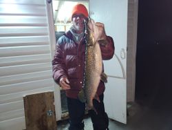 Pike of the Day: Toronto's Catch 