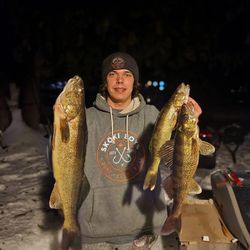 Toronto's Walleye Hotspot Discovered