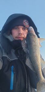 Walleye Magic in Toronto Waters