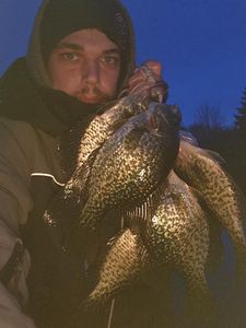 Crappie's are biting in Toronto, CA