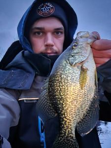 Crappie bounty in Toronto, CA