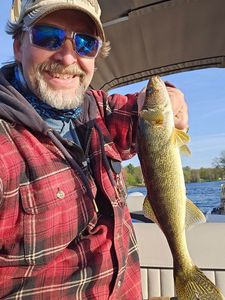 Walleye Thrills in Toronto Waters