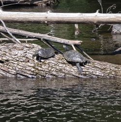Best great fishing trip in Ontario