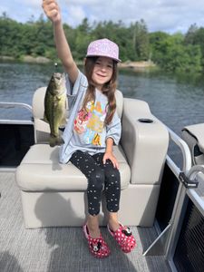 A largemouth bass caught on fishing in ON