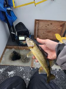 Fishing in Ontario, best outdoor adventure