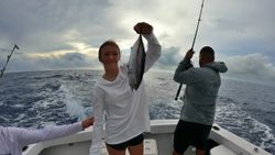 Atlantic Bonito fish caught in the Cayman Islands