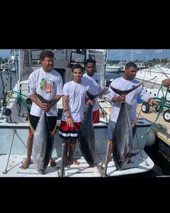 3 Atlantic Bonito, each about 28 inches, caught by 4 people fishing in the Cayman Islands