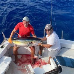Blackfin Tuna, a large ocean fish, caught in the Cayman Islands