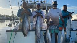 4 yellowfin tuna, fishing in cayman islands