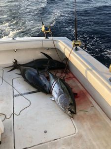 One person fishing in Freeport