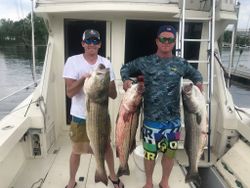 Two anglers fishing for striped bass in New York