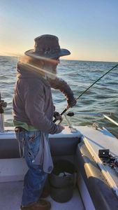 Lines in on Lake Erie