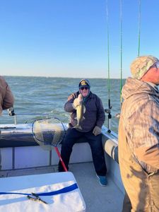 Early morning on the lake