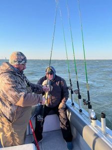 Reeling in the day