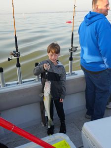 Fish-Species