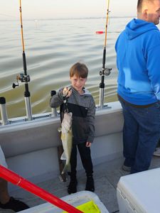 Fish-Species