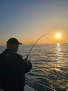 Fish-Species