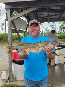 Fish-Species
