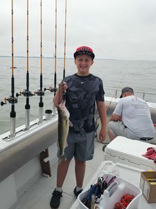 Fish-Species
