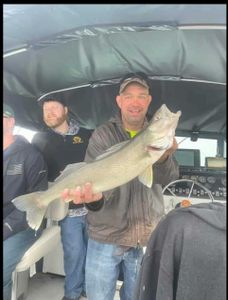 Fish-Species