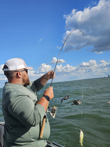 One fisherman casting a line in Port Clinton