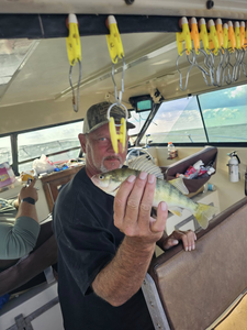 Photo of a 48-inch American Yellow Perch being caught in OH