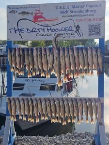 Four large fish caught while fishing in Port Clinton