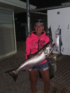 Freshly caught Chinook and Coho salmon displayed at fish cleaning station in Port Clinton OH