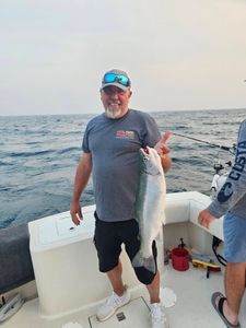 Coho salmon catch displayed on fishing boat in Port Clinton OH