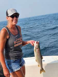Lake trout caught while fishing in Port Clinton OH