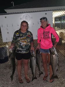 Successful fishing trip showing caught Chinook and Coho salmon at fish cleaning station in Port Clinton OH