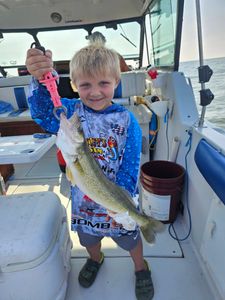 Walleye catch displayed on fishing boat in Port Clinton OH
