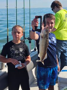 Walleye caught during fishing trip on Lake Erie near Port Clinton Ohio