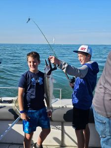 Fresh walleye catch displayed on fishing boat in Port Clinton OH