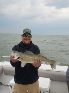 Walleye fish caught in OH