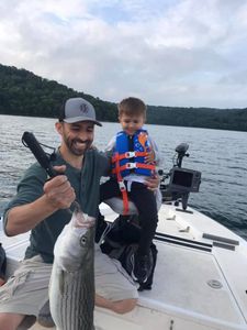 Striped Bass in Beaver Lake, AR