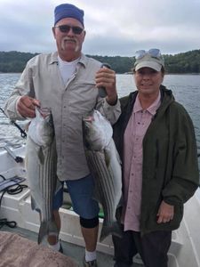 Striped Bass in Beaver Lake, AR