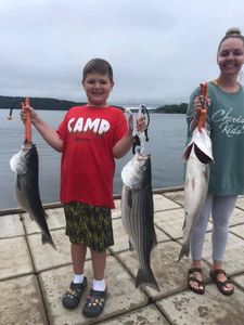 Beaver Lake Striper Fishing