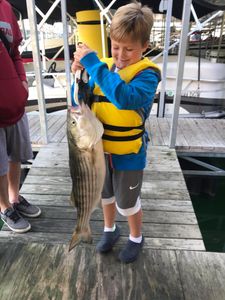 Beaver Lake Striped Bass