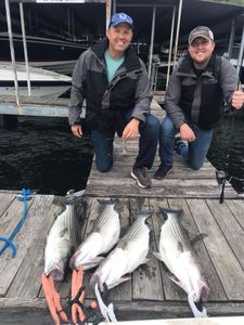 Beaver Lake Fish