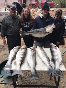 Beaver Lake Fish Species