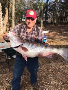 Arkansas Fish And Game