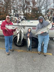 Kid Caught His Trophy Striped Bass in Beaver Lake!