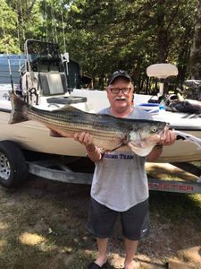 Angler catching a striped bass fish in Garfield