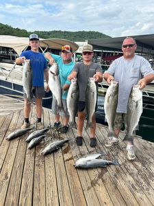 Nine striped bass caught in AR