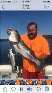 Striped bass and white bass caught in AR
